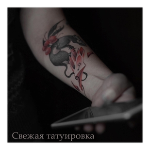 татуировка #48354 | Тату мастер Екатерина Като