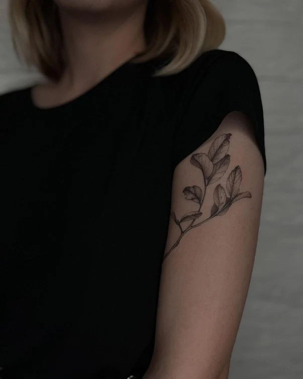 Файнлайн Leaf, Branch tattoo на Плечо