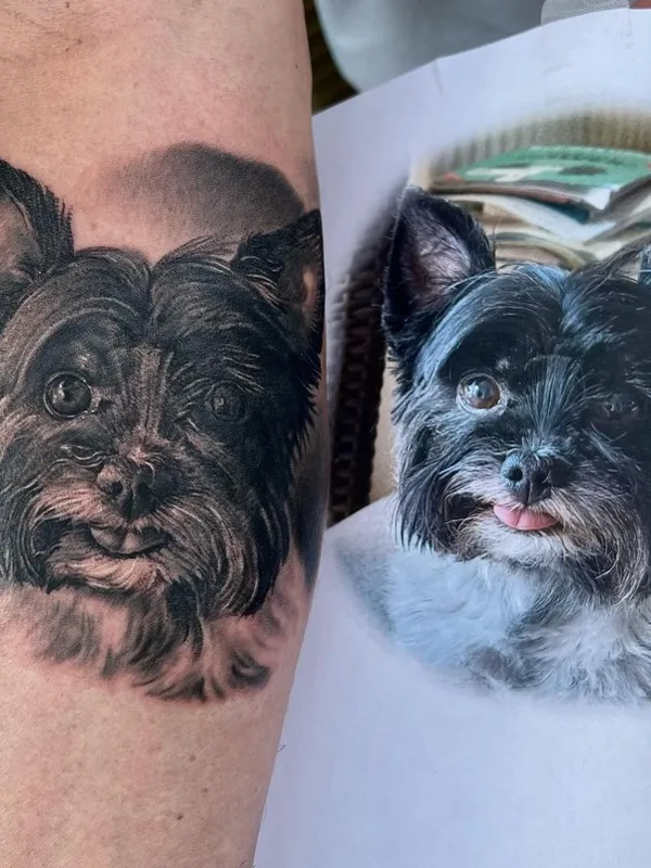 black and grey realism tattoo on forearm #61418 | Tattoo Artist pekatattoo_artist
