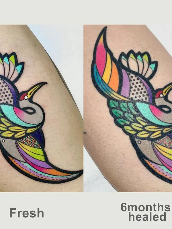 color illustrative 纹身 在 forearm #62985 | 纹身师 hurjaesae
