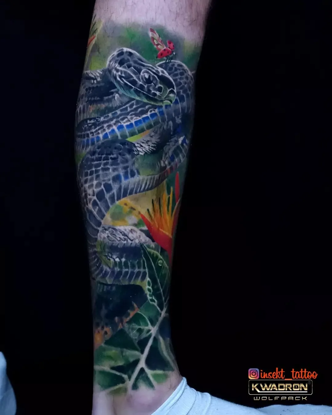 Tatouage réaliste d'un serpent enroulé autour d'une fleur et de feuilles, avec un papillon posé sur sa tête.