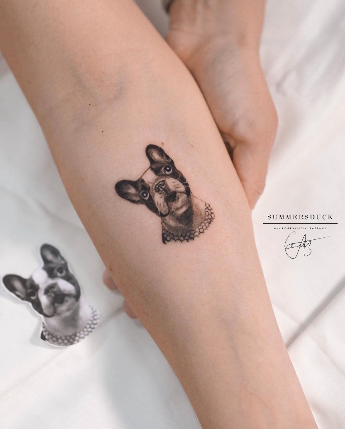 30+ French Bulldog Tattoo Outline