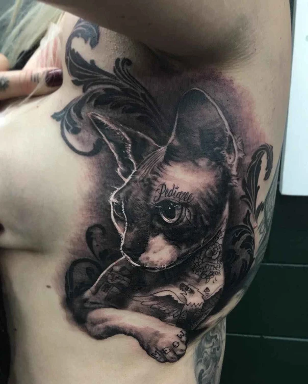 Black & Grey Cat, Ornamental tattoo on Chest