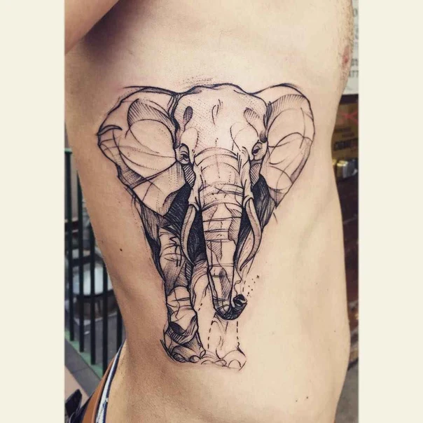 Sketch Elephant tattoo on Side