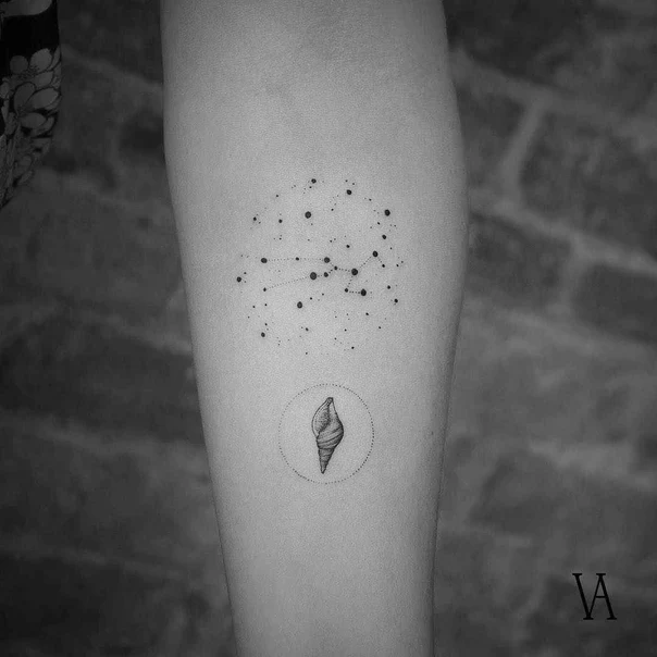 Fineline Constellation, Shell tattoo on Forearm