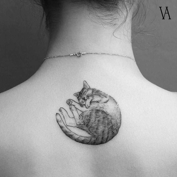Black & Grey Cat tattoo on Upper Back