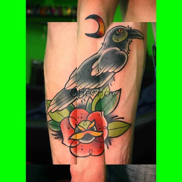 Традиционная Crow, Rose tattoo на Предплечье