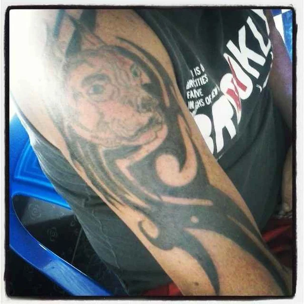 Tribal Animal, Abstract tattoo on Outer arm