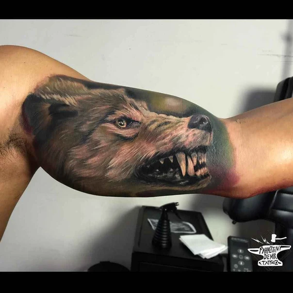 Realism Wolf tattoo on Bicep