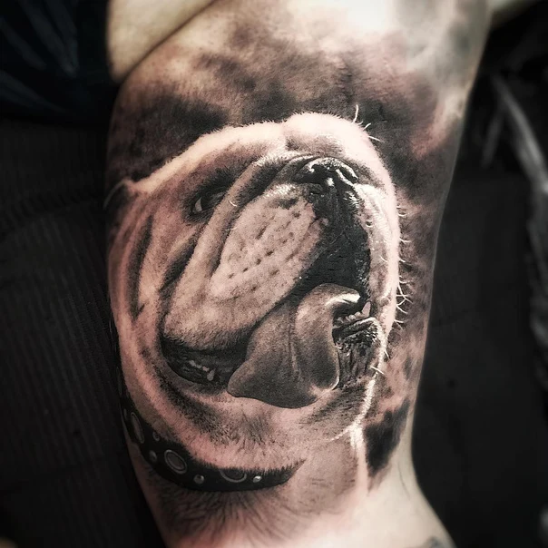 Realism Dog tattoo on Forearm