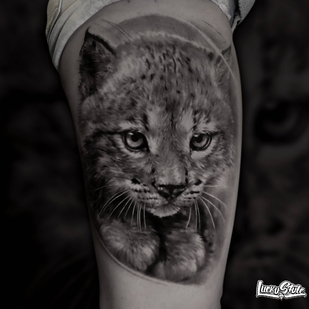 🔥 Горячие фото, портфолио модели  #28098  