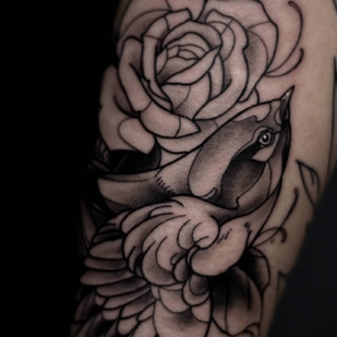 🔥 Горячие фото, портфолио модели  #28111  