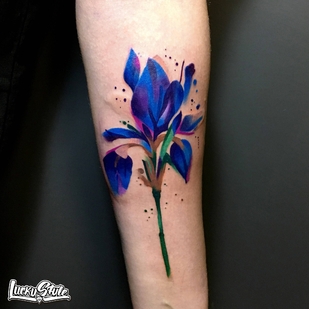 🔥 Горячие фото, портфолио модели  #28177  