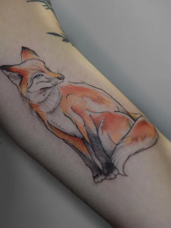 color illustrative татуировка на forearm #49768 | Тату мастер Александра Котардъ