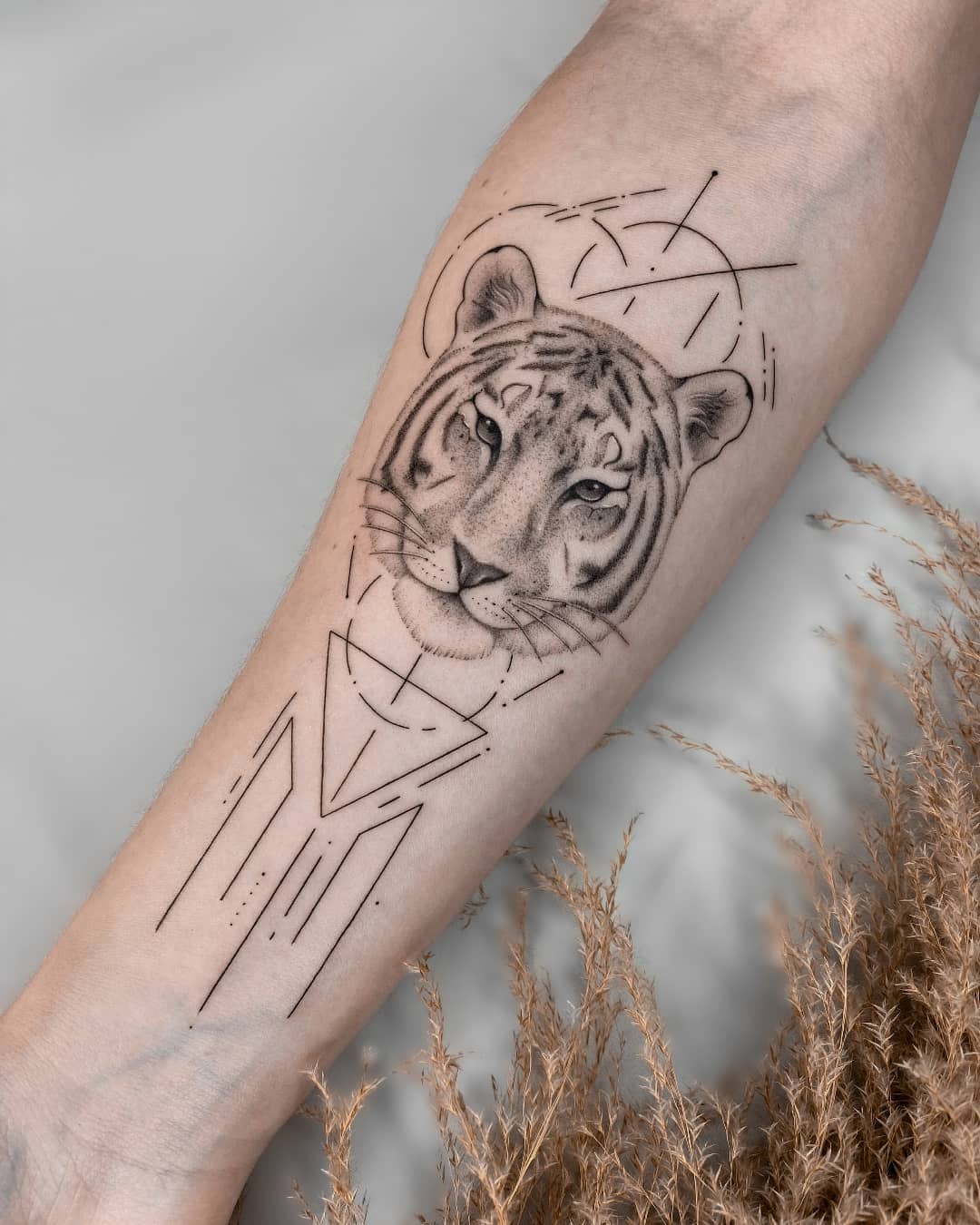 Tattoo tagged with fine line small tiger feline animal little tiny  ifttt shoulder blade soltattoo  inkedappcom