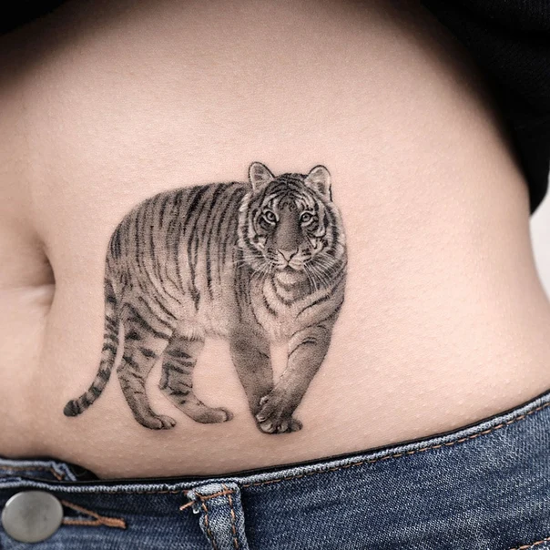 Realism Tiger tattoo on Stomach