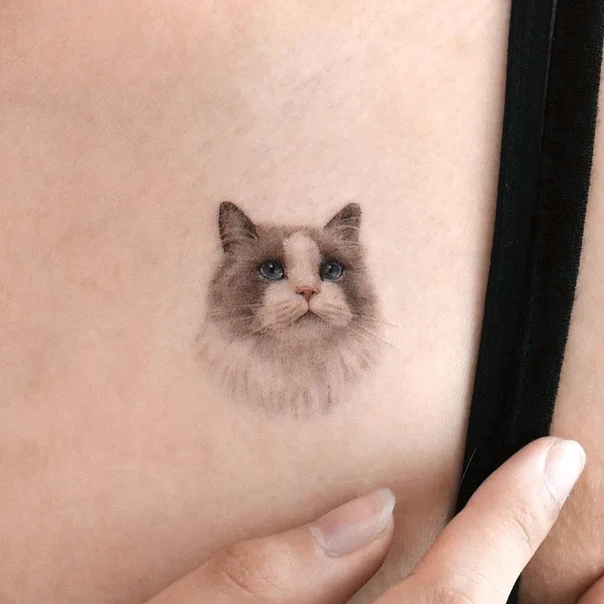 Realism Cat tattoo on Chest