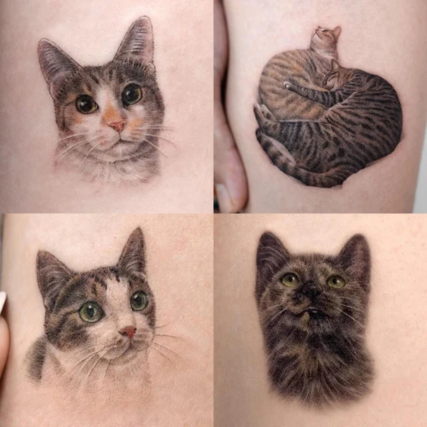 Realism Cat tattoo on Thigh