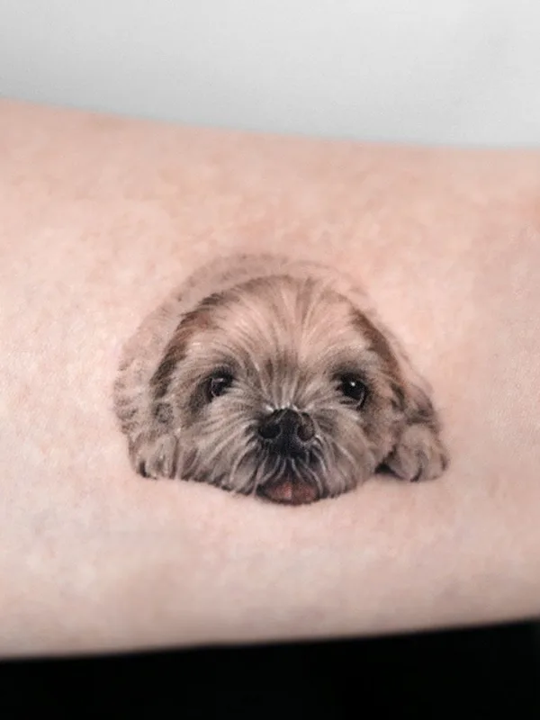 color realism 타투 부위 forearm #49899 | 타투이스트  Ria Kim