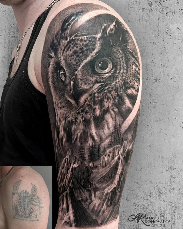 Реализм Owl, Mountains tattoo на Полный рукав