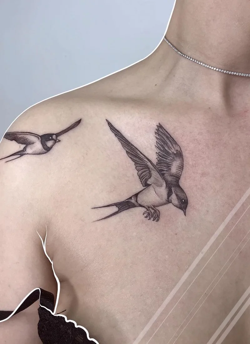 Tatuaggio rondine: significato e storia