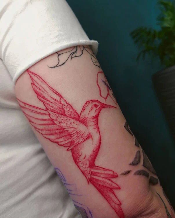 Лайнворк Hummingbird tattoo на Предплечье