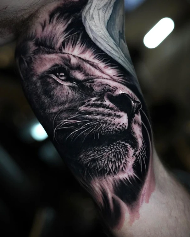 Realism Lion tattoo on Forearm