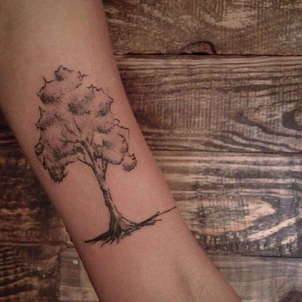 Sketch Tree tattoo on Forearm