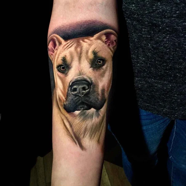 Realism Dog, Animal tattoo on Forearm