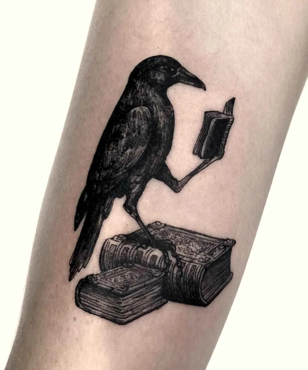 A detailed blackwork tattoo in an engraving style depicting a crow perched atop a stack of books, reading an open book.