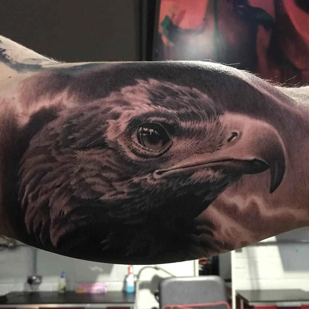 Realism Eagle tattoo on Bicep