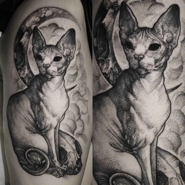 Black & Grey Cat, Skull tattoo on Thigh