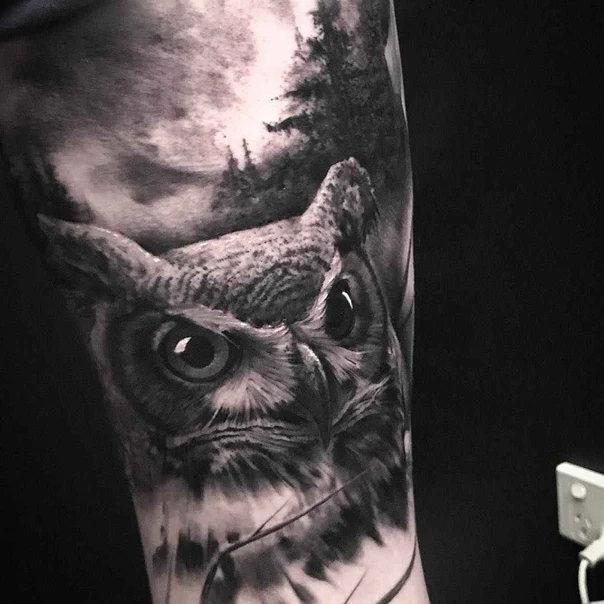 Realism Owl, Forest tattoo on Forearm