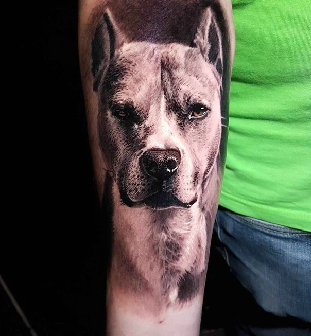 Realism Dog, Animal tattoo on Forearm