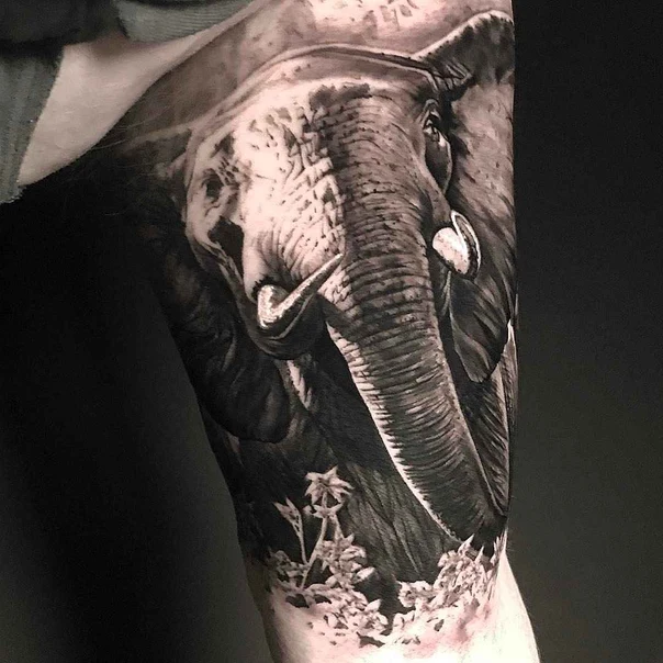 Realism Elephant, Botanic tattoo on Forearm