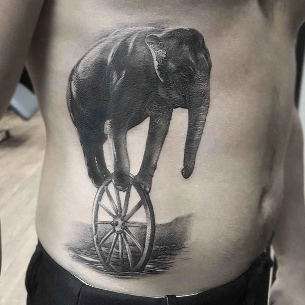 Realism Elephant, Wheel tattoo on Stomach
