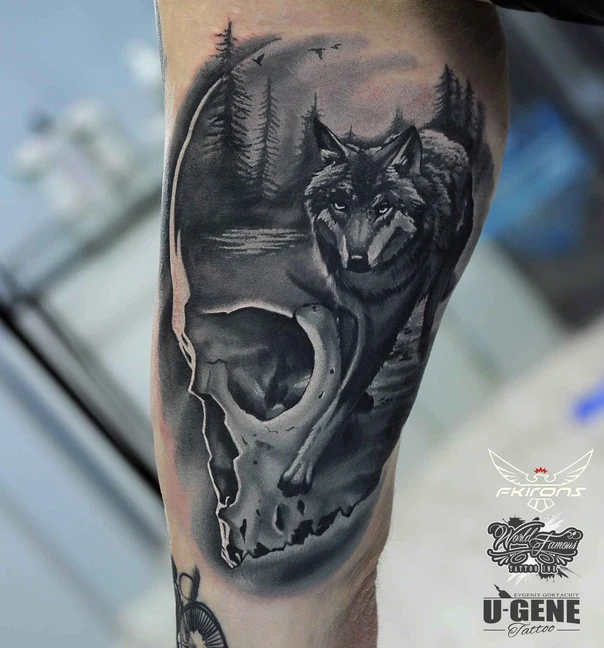 Realism Wolf, Skull tattoo on Forearm