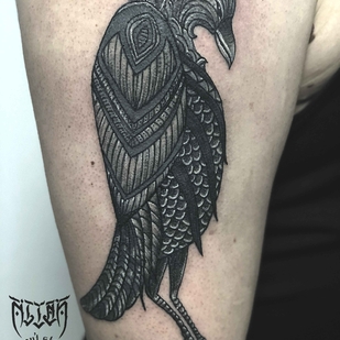 🔥 Горячие фото, портфолио модели  #17363  