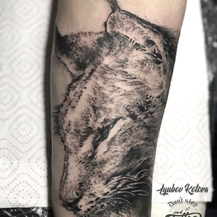 🔥 Горячие фото, портфолио модели  #17373  