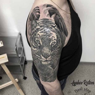 🔥 Горячие фото, портфолио модели  #17370  