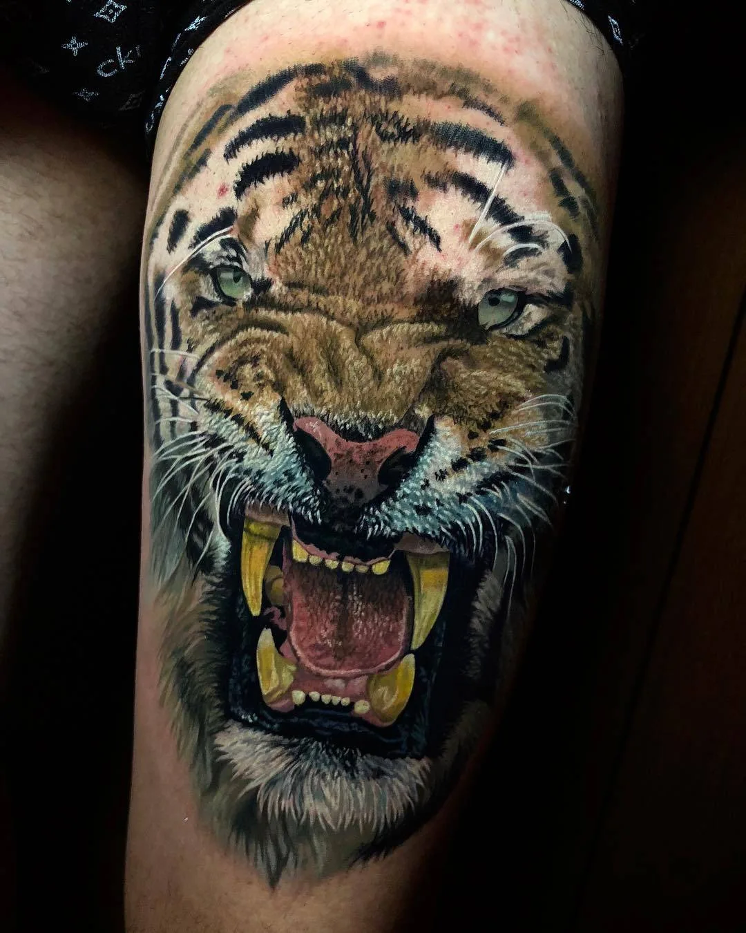 A highly detailed and realistic tattoo of a roaring tiger's face with impressive shading and colour blending.