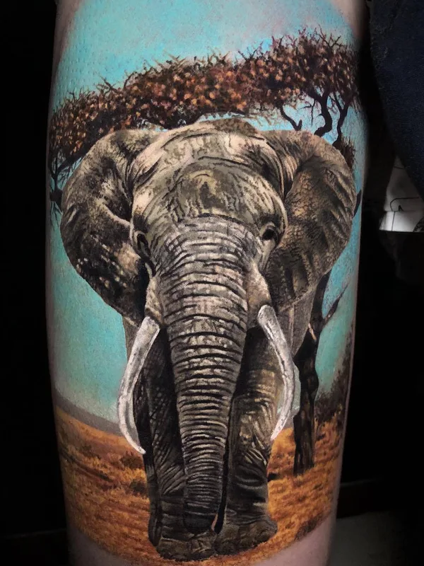 color realism Tatuaggio su calf #28859 | Tatuatore Walace Sales