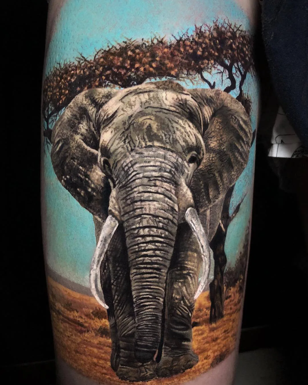 Tattoo artist Walace Sales, color and black and grey realistic tattoo | Brazil