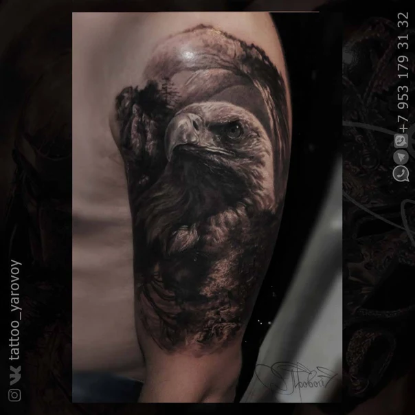 Реализм Eagle tattoo на Плечо