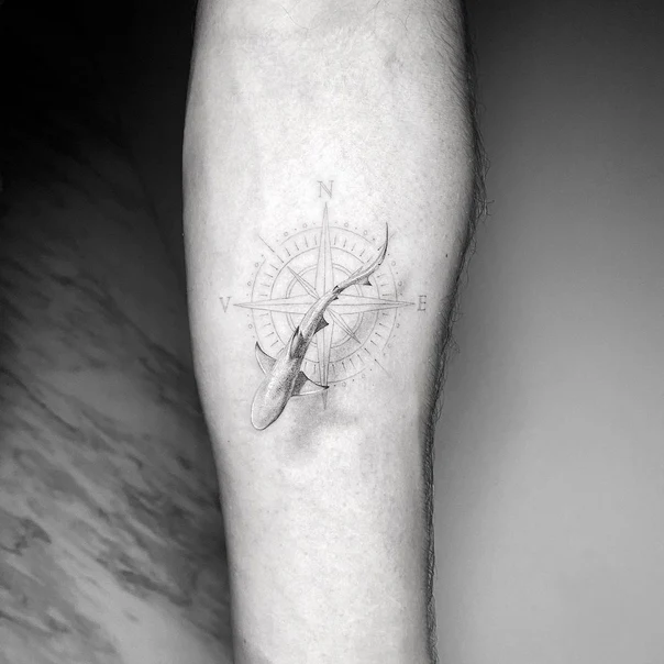 Black & Grey Compass, Shark tattoo on Forearm