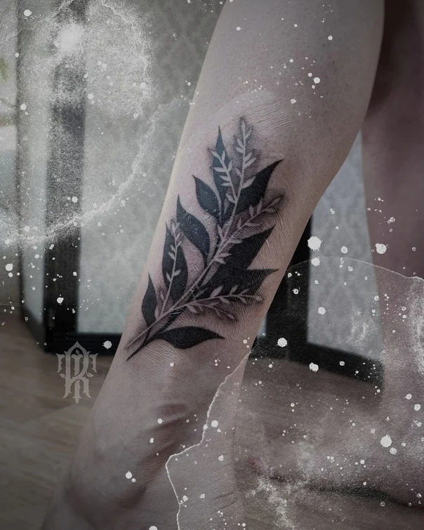Ботаническая Leaf, Branch tattoo на Предплечье