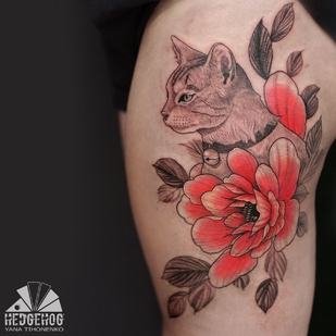 🔥 Горячие фото, портфолио модели  #39005  