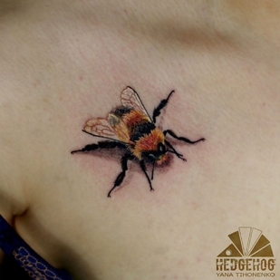 🔥 Горячие фото, портфолио модели  #39003  