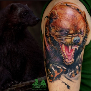 🔥 Горячие фото, портфолио модели  #39011  