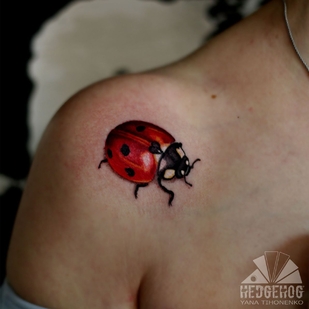 🔥 Горячие фото, портфолио модели  #39014  